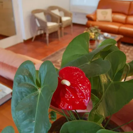 Дом отдыха Casa Marina Касса-де-ла-Сельва